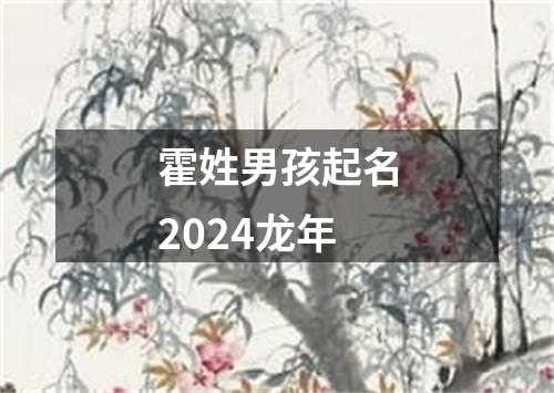 霍姓男孩起名2024龙年