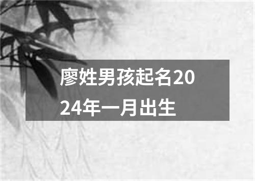 廖姓男孩起名2024年一月出生