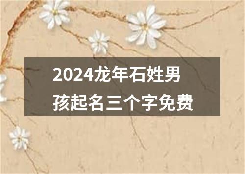 2024龙年石姓男孩起名三个字免费