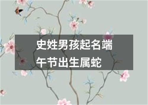 史姓男孩起名端午节出生属蛇