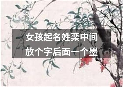 女孩起名姓栾中间放个字后面一个墨