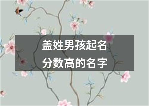 盖姓男孩起名分数高的名字