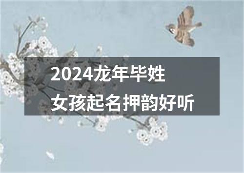 2024龙年毕姓女孩起名押韵好听