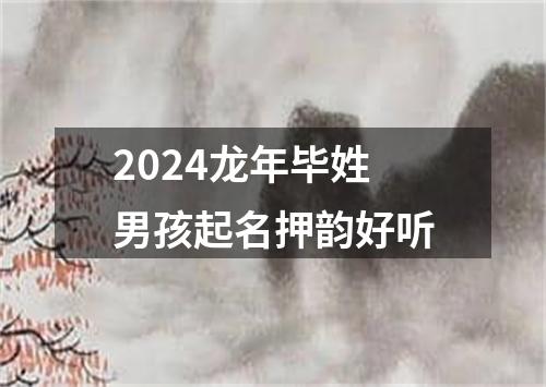 2024龙年毕姓男孩起名押韵好听