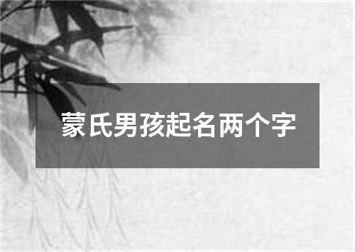 蒙氏男孩起名两个字