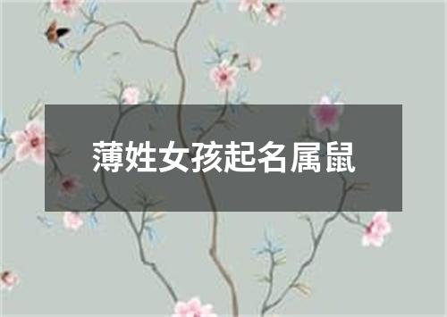 薄姓女孩起名属鼠