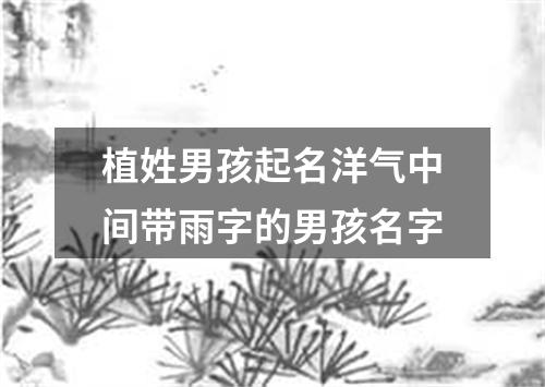 植姓男孩起名洋气中间带雨字的男孩名字