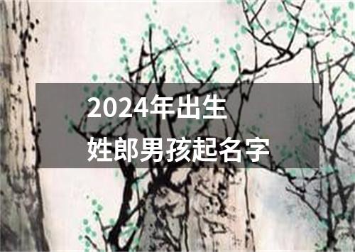 2024年出生姓郎男孩起名字