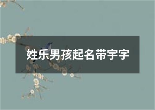 姓乐男孩起名带宇字