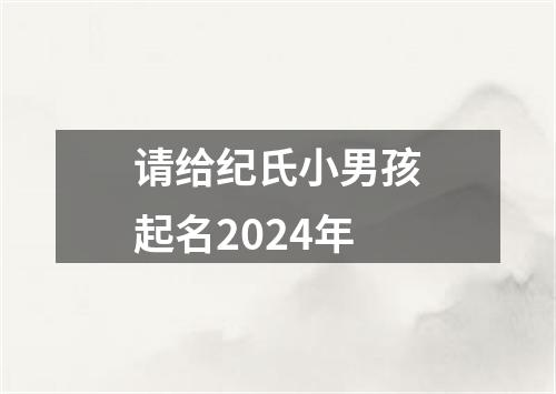 请给纪氏小男孩起名2024年