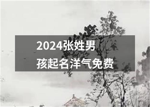 2024张姓男孩起名洋气免费