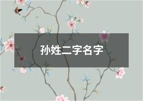 孙姓二字名字