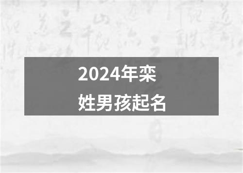 2024年栾姓男孩起名