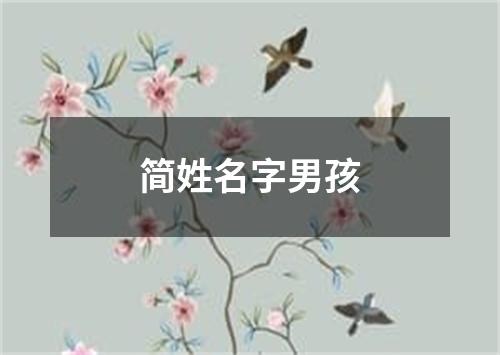 简姓名字男孩