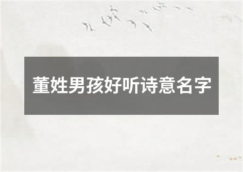 董姓男孩好听诗意名字