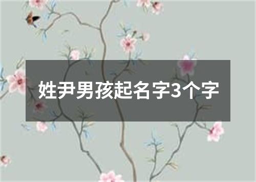 姓尹男孩起名字3个字