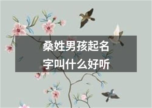 桑姓男孩起名字叫什么好听