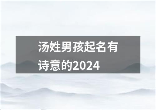 汤姓男孩起名有诗意的2024