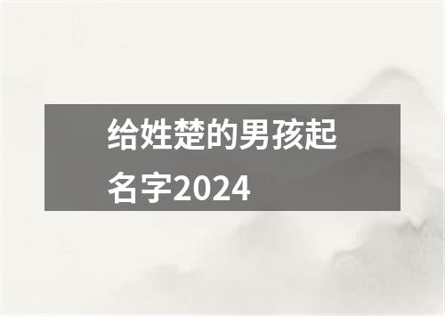 给姓楚的男孩起名字2024