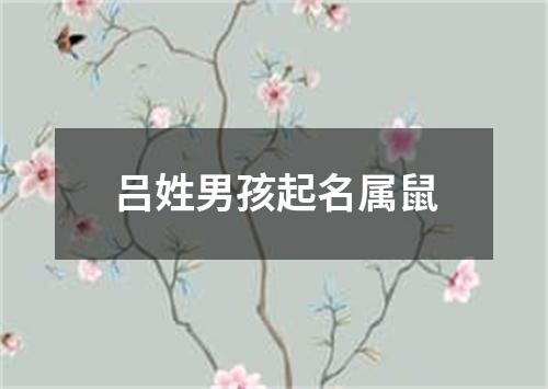 吕姓男孩起名属鼠