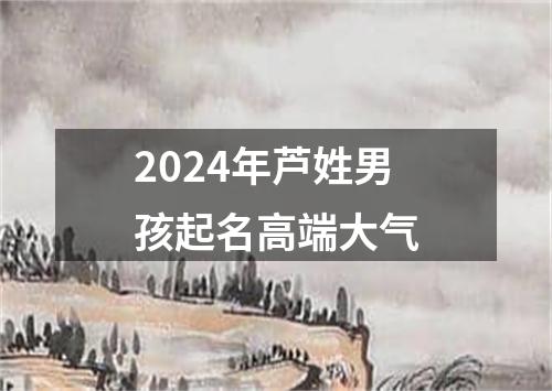 2024年芦姓男孩起名高端大气