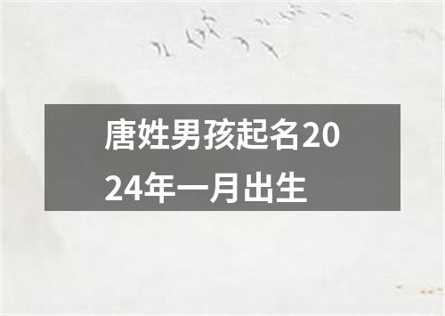 唐姓男孩起名2024年一月出生