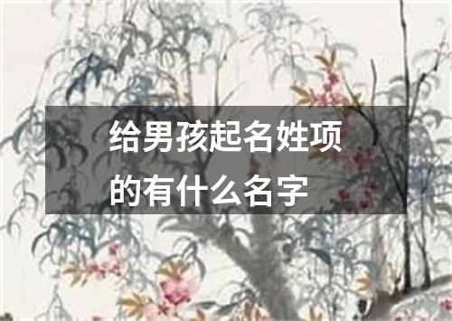 给男孩起名姓项的有什么名字