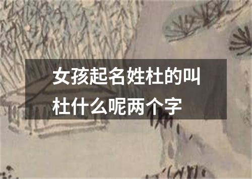 女孩起名姓杜的叫杜什么呢两个字