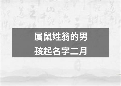 属鼠姓翁的男孩起名字二月