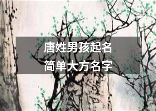 唐姓男孩起名简单大方名字