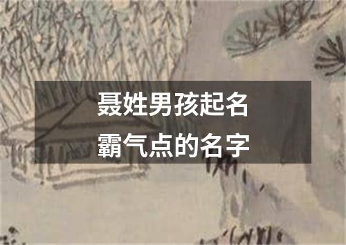 聂姓男孩起名霸气点的名字