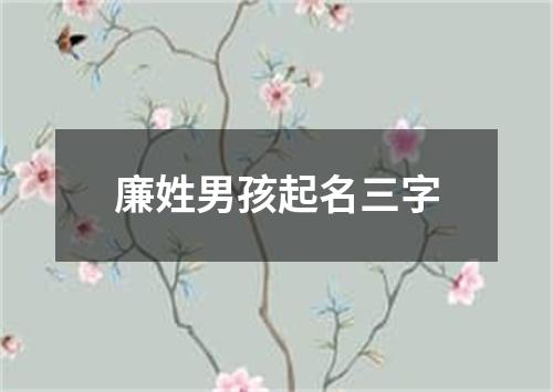 廉姓男孩起名三字