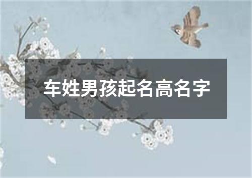 车姓男孩起名高名字