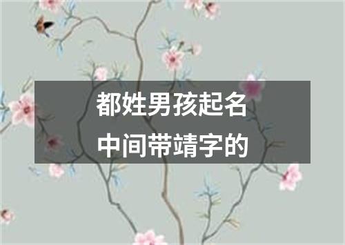 都姓男孩起名中间带靖字的