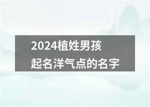 2024植姓男孩起名洋气点的名字