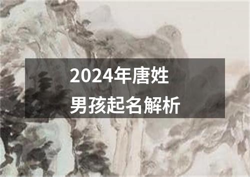 2024年唐姓男孩起名解析