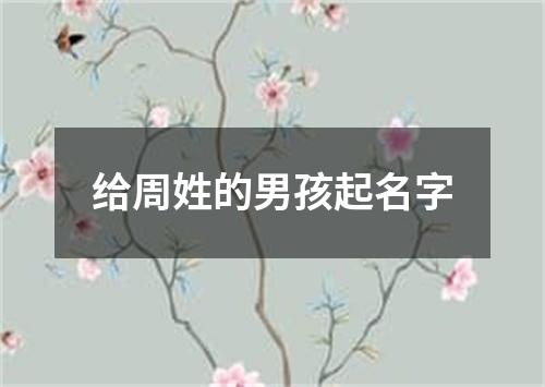 给周姓的男孩起名字