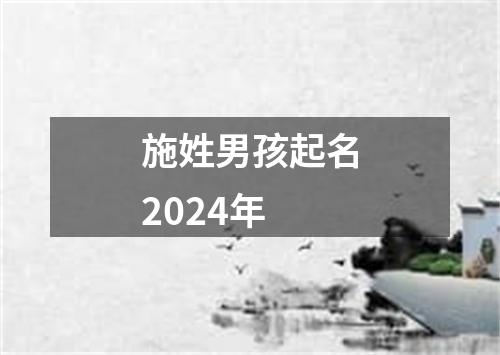 施姓男孩起名2024年