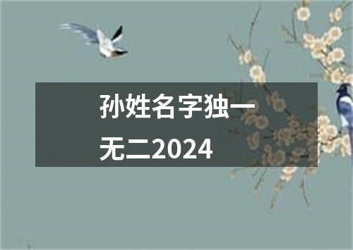 孙姓名字独一无二2024