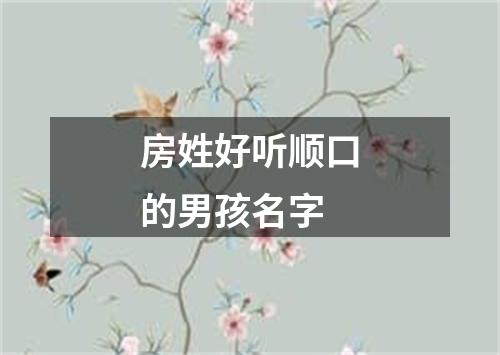 房姓好听顺口的男孩名字