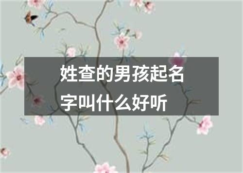 姓查的男孩起名字叫什么好听