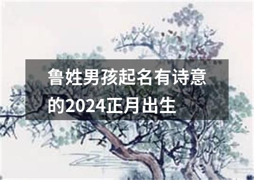 鲁姓男孩起名有诗意的2024正月出生