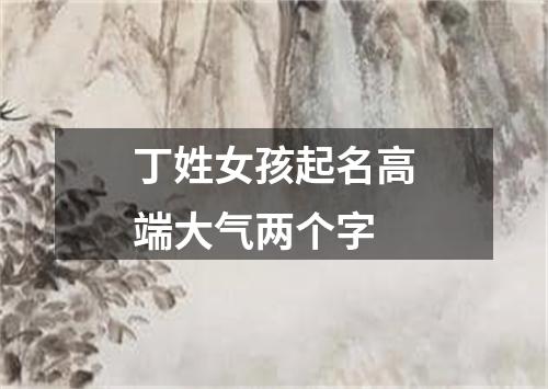 丁姓女孩起名高端大气两个字