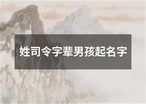 姓司令字辈男孩起名字