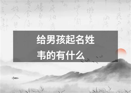 给男孩起名姓韦的有什么