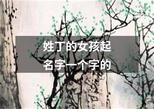 姓丁的女孩起名字一个字的