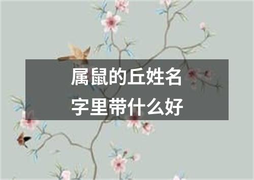 属鼠的丘姓名字里带什么好