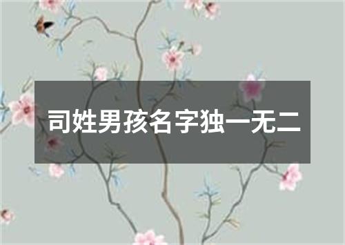 司姓男孩名字独一无二