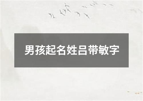 男孩起名姓吕带敏字