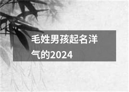 毛姓男孩起名洋气的2024